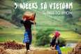 /tour-3-weeks-vietnam-exciting-tour-dragon