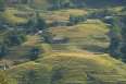 /wonderful-rice-terraces-in-sapa-vietnam