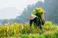 /vietnam-top-pick-highlights