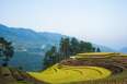 /loop-north-west-vietnam-what-to-see-to-do