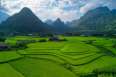 /lam-thuong-valley-yen-bai