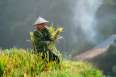 /pu-luong-nature-reserve