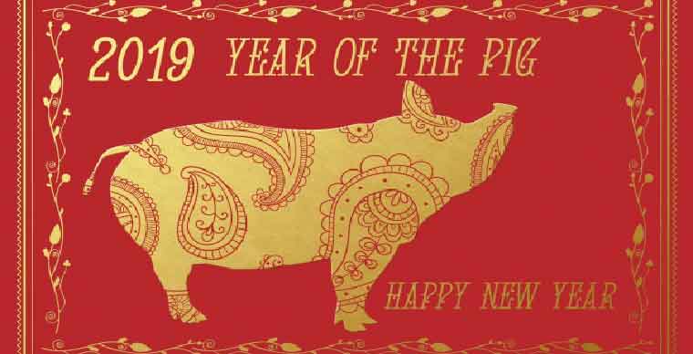 2019 Ky Hoi Lunar New Year - Year of the Pig