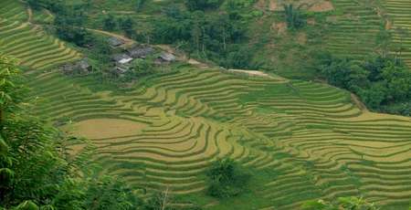  Top 10 what to do in Sapa