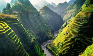 Vietnam tour 2023-2024: Where to go? Which itinerary? What to do? How many days?