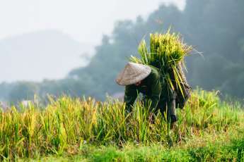 Trip to Vietnam: Our top-pick highlights (Part 1)