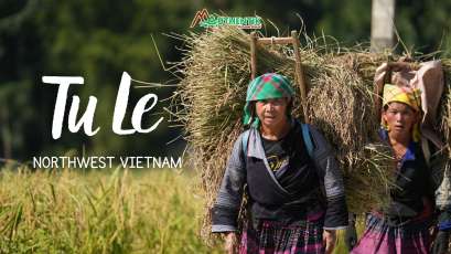 Tu Le Valley in Yen Bai: Complete Travel Guide