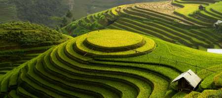 Vietnam, Laos, or Cambodia: which country to choose for a first trip to Southeast Asia?