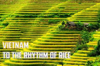 Travel to Vietnam to the rhythm of rice