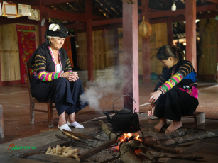 Experience Vietnam Beyond Sightseeing: Authentic Local Activities You Should Try