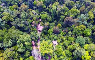 Muong Phang in Dien Bien: A Historical and Cultural Journey in Vietnam