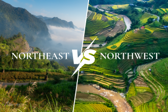 Northwest vs Northeast Vietnam: Which Highlands Region Should You Choose?