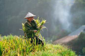 Pu Luong Nature Reserve - Travel Guide