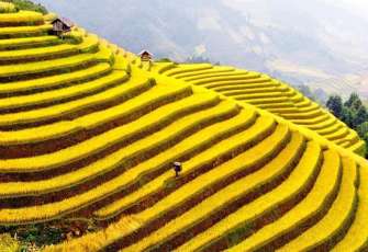 Tour in the Northwest of Vietnam : Where to go? Which itinerary? What to do? How many days?