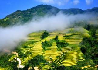 Rice terraces of Sapa: a highlight of North West Vietnam