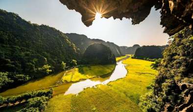 Tam Coc Golden Rice Season: A Complete Guide to Vietnam&rsquo;s Most Beautiful Rice Fields