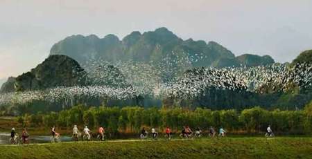 Thung Nham Bird Gardens - Ninh Binh Travel Guide