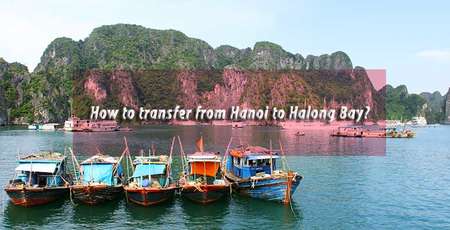 How to transfer from Hanoi city to Halong Bay