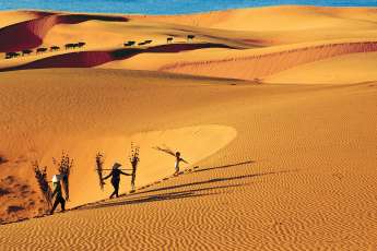 Discover Vietnam’s 7 most stunning sand dunes