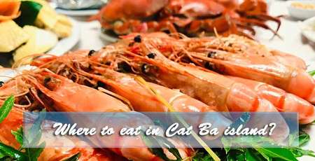 Where to eat in Cat Ba Island?