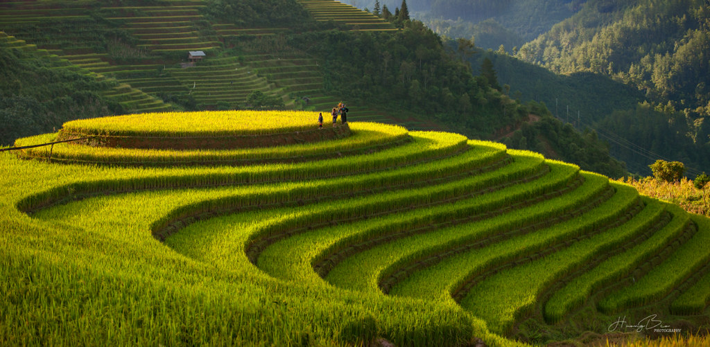 Top 6 Destinations for Travel Photography in Northern Vietnam