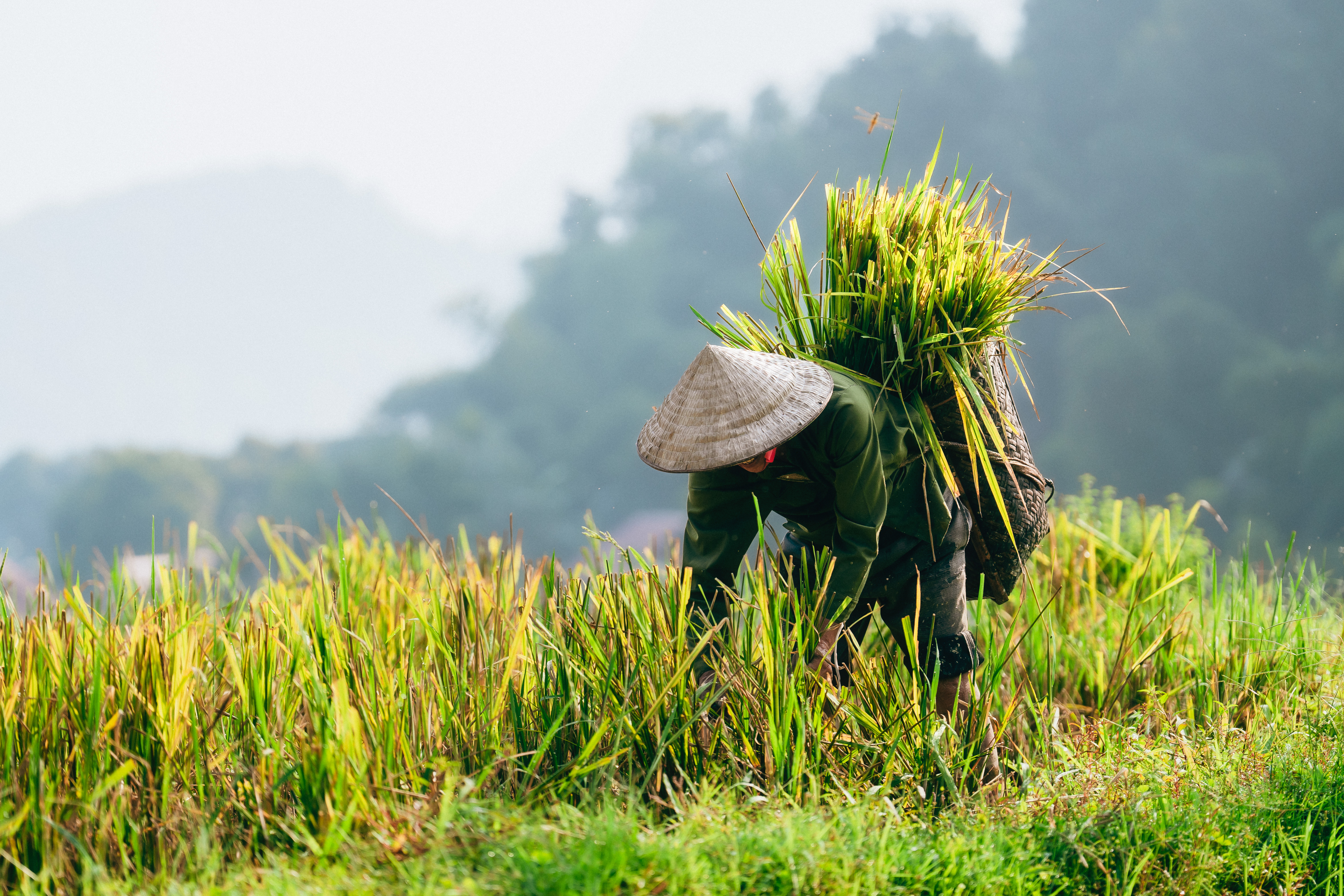 Trip to Vietnam: Our top-pick highlights (Part 1)