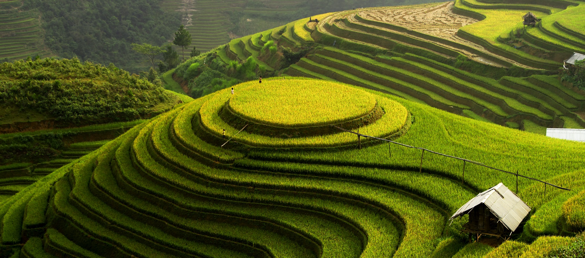 Vietnam, Laos, or Cambodia: which country to choose for a first trip to Southeast Asia?