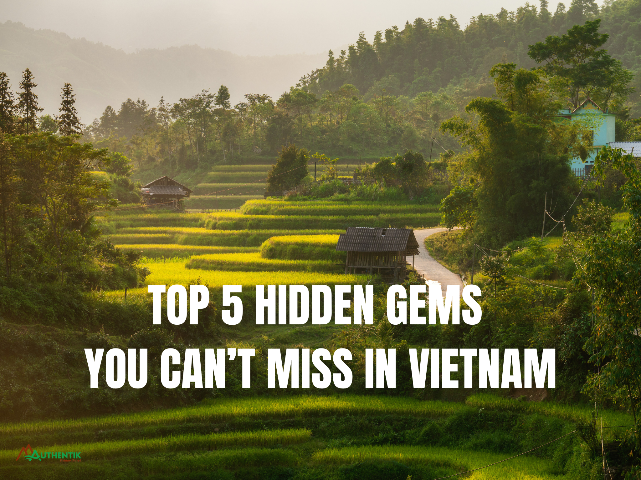 Top 5 Hidden Gems in Vietnam You Must Visit in 2026