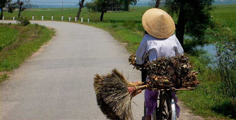 Go cycling in the countryside of Hue City