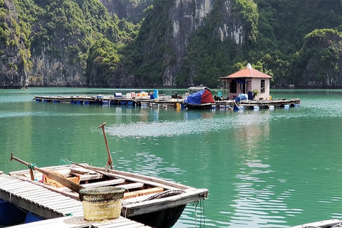 3 fishing villages to visit in Halong Bay