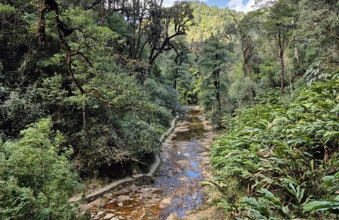 Exploring Hoang Lien National Park in Lao Cai