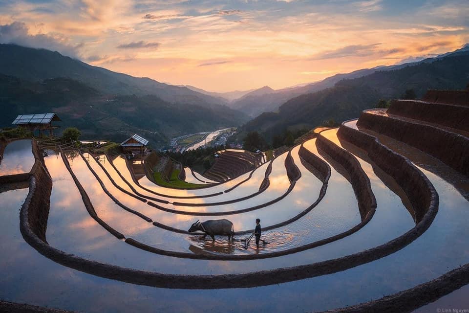Where and when to see the most beautiful rice fields in Northern Vietnam?