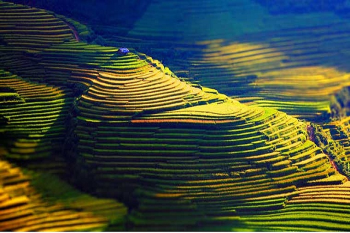 Mu Cang Chai, one of the most beautiful circuits in the Northwest