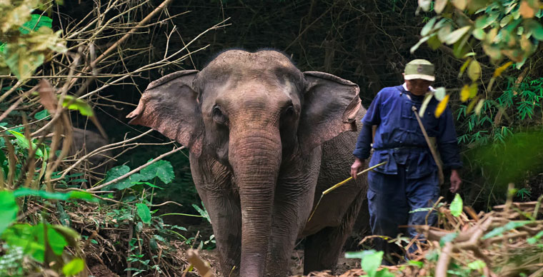 10 tips for a successful family vacation in Laos