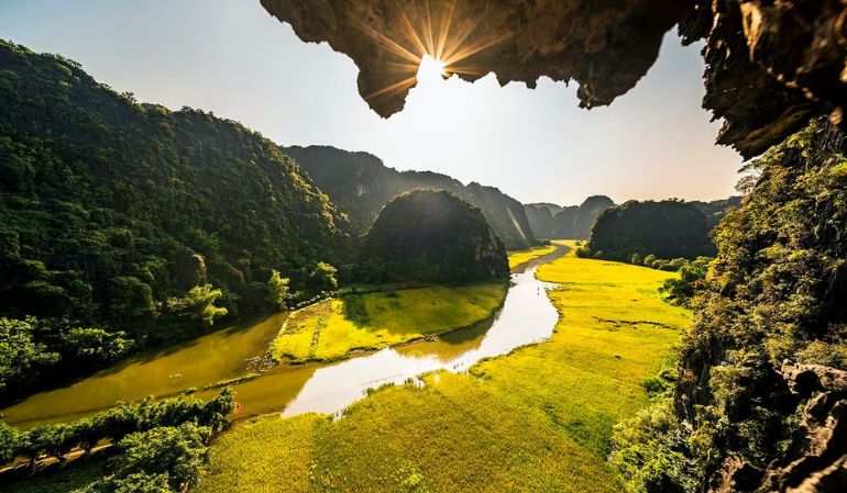 Tam Coc Golden Rice Season: A Complete Guide to Vietnam&rsquo;s Most Beautiful Rice Fields
