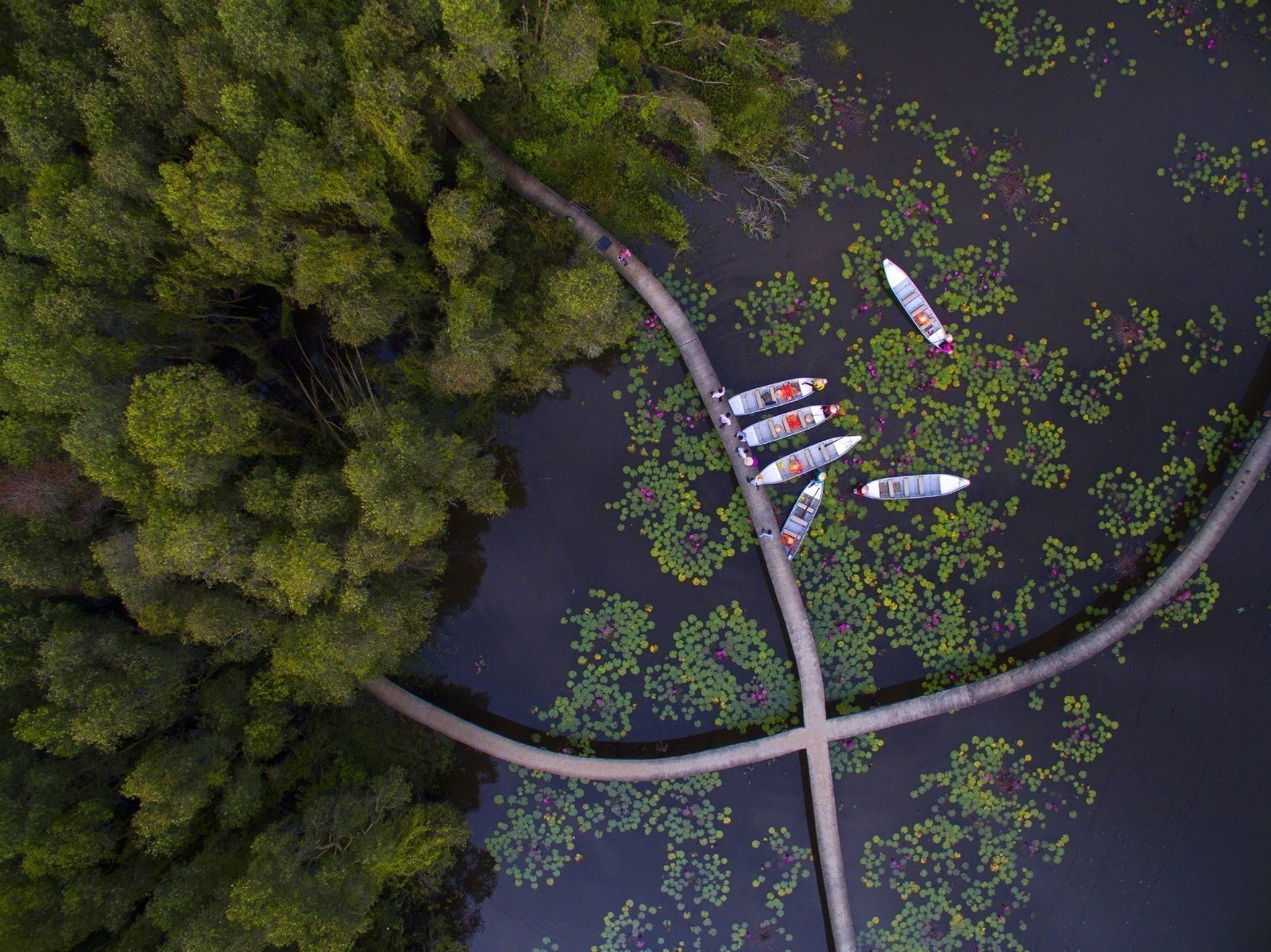 Long An: A Perfect Nature Escape in the Heart of the Mekong Delta