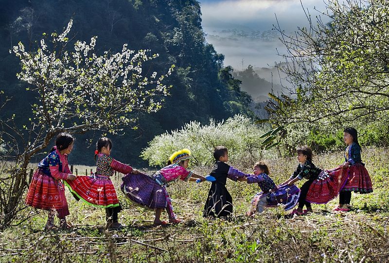 Traditional Tet Games in Moc Chau: What Hmong Children Play During Tet ? Traditional Tet Games in Moc Chau: What Hmong Children Play During Tet ?