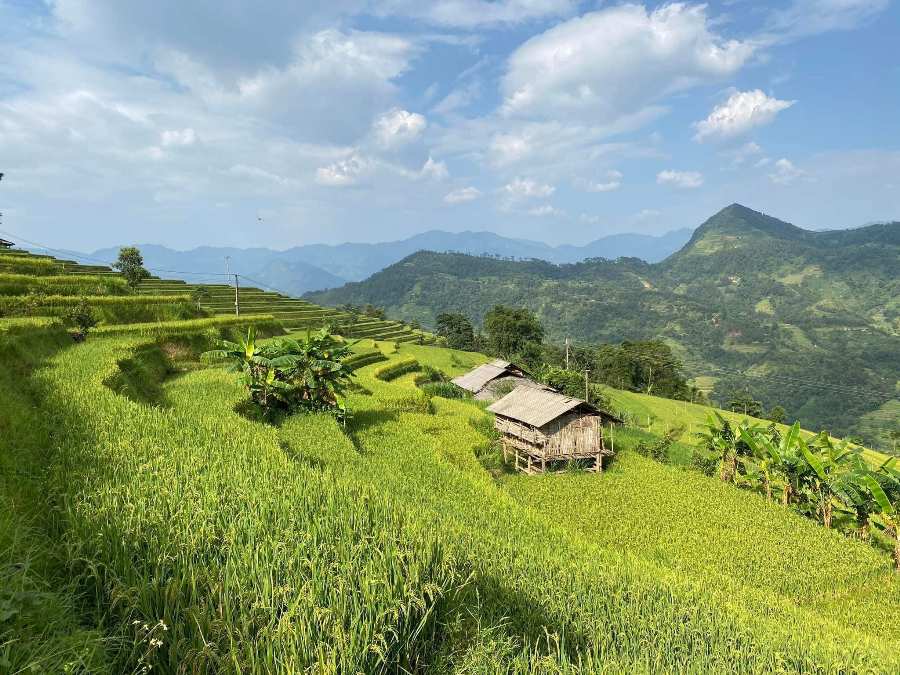Vietnam in July: Weather, best destinations to visit, tour ideas