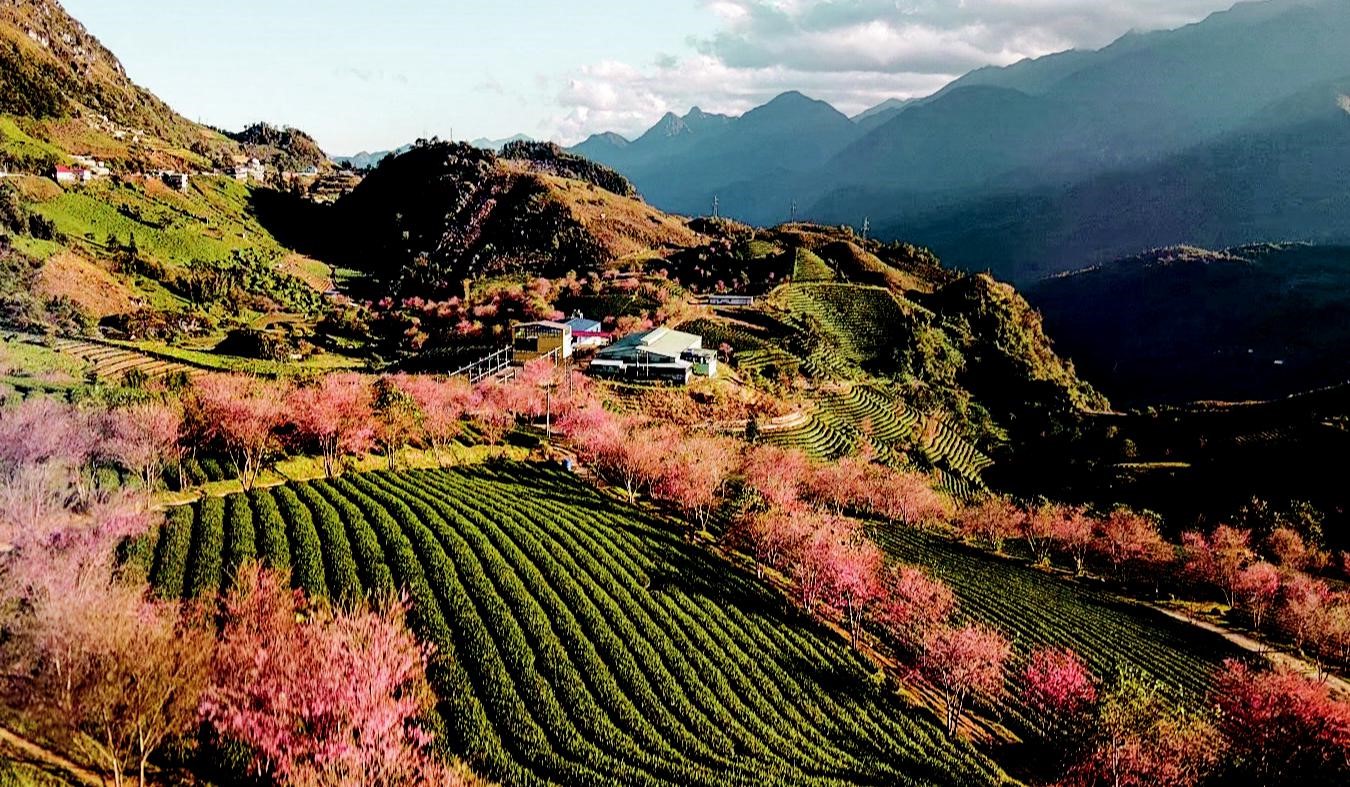 best time to visit sapa vietnam ,  best time to visit sapa, weather in sapa, sapa vietnam travel tips, sapa tour, hanoi vietnam tours, sapa tour package, sapa in december,sapa weather sapa now, best time to travel sapa , best time to visit in sapa,  best time to visit vietnam, weather in Vietnam, vietnam travel tips, vietnam tour, vietnam tours, vietnam tour package, vietnam in december, vietnam, weather vietnam now, best time to travel vietnam, best time to visit in vietnam, Are there any months to avoid visiting sapa?, Is it crucial to book accommodation well in advance during peak seasons?, What should I expect during Tet festival in sapa?,  What are the must-visit attractions in sapa during autumn?, Are there any significant local events during spring in sapa?