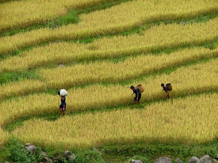 10 activities unmissable in Sapa walking around