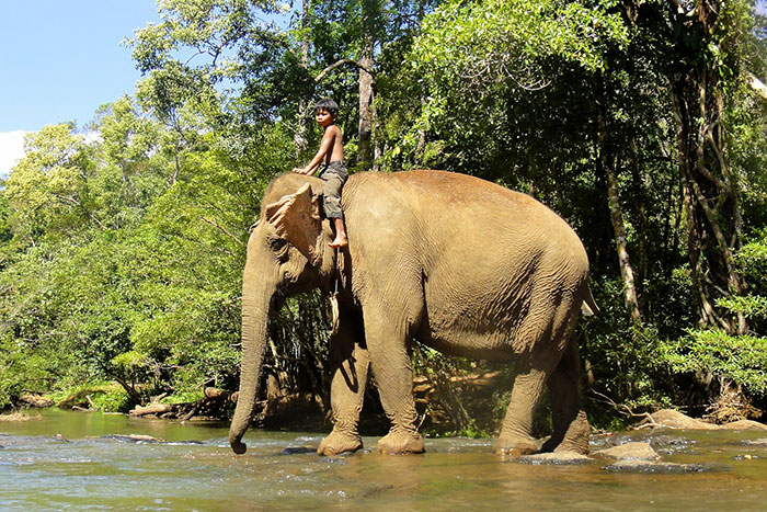 Cambodia travel, Cambodia vacation, Tonle Sap, Kampot pepper, Koh Paenm island, Koh Trong island, Mondulkiri, Ponleu Selpak lighthouse, Koh Kong island, Mekong, Koh Dach