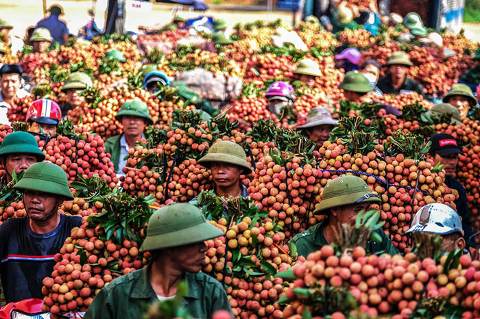 10 exotic fruits in Vietnam lychee