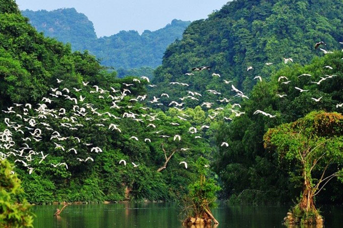 10 must sees in Ninh Binh thung nham bird garden