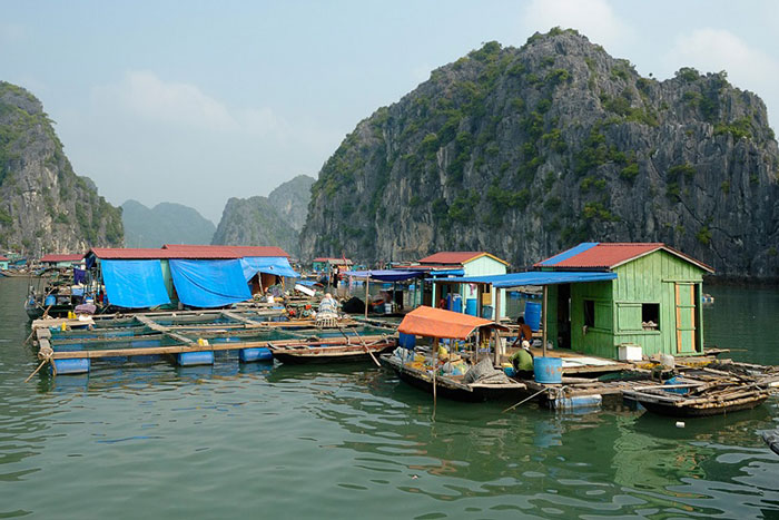 10 things to do in Cat Ba island fishing village