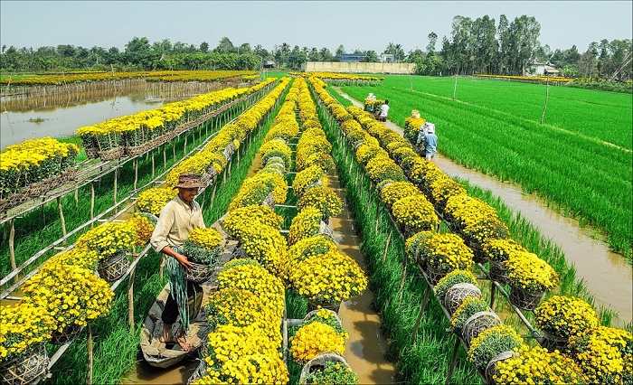 villages in Vietnam, Hanoi, Sapa, Mui Ne, Duong Lam, Bat Trang, Dalat