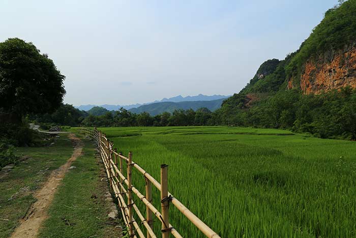 2 or 3 days in Mai Chau mai hich village