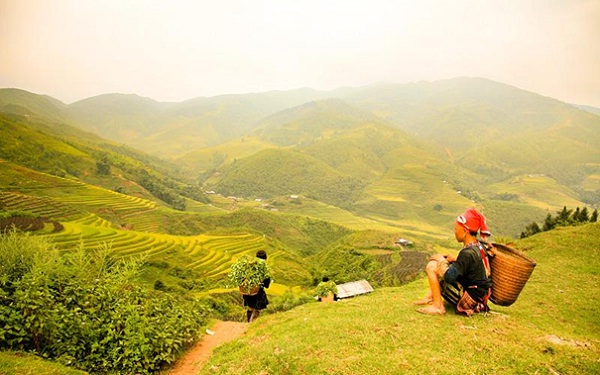 best time to visit sapa vietnam ,  best time to visit sapa, weather in sapa, sapa vietnam travel tips, sapa tour, hanoi vietnam tours, sapa tour package, sapa in december,sapa weather sapa now, best time to travel sapa , best time to visit in sapa,  best time to visit vietnam, weather in Vietnam, vietnam travel tips, vietnam tour, vietnam tours, vietnam tour package, vietnam in december, vietnam, weather vietnam now, best time to travel vietnam, best time to visit in vietnam, Are there any months to avoid visiting sapa?, Is it crucial to book accommodation well in advance during peak seasons?, What should I expect during Tet festival in sapa?,  What are the must-visit attractions in sapa during autumn?, Are there any significant local events during spring in sapa?