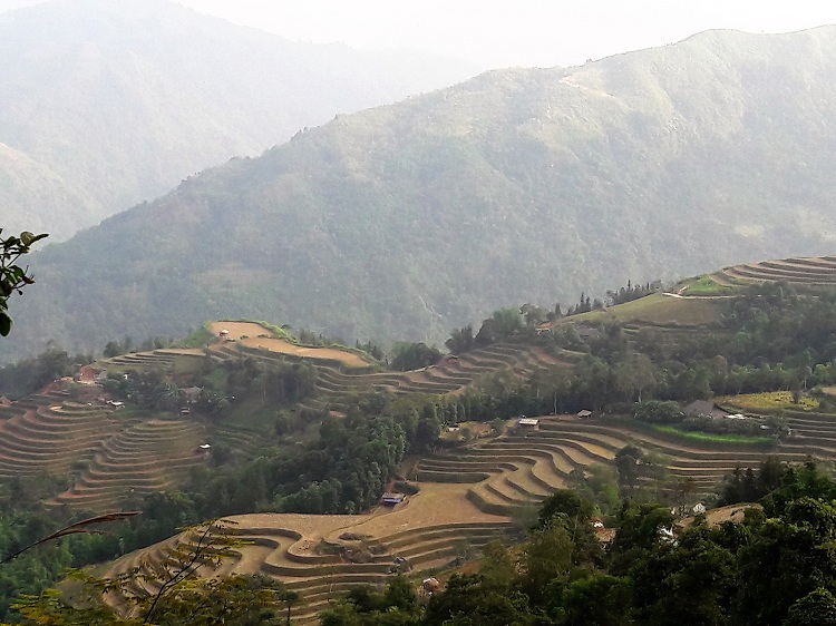 3 days trekking hoang su phi terraced rice fields