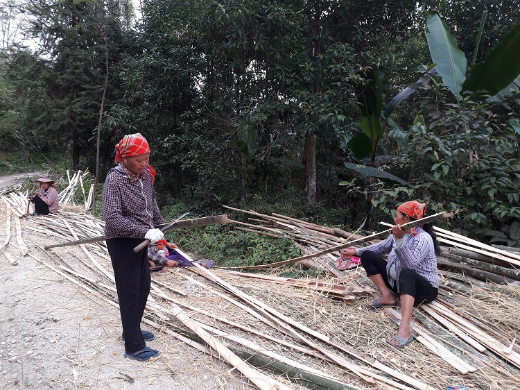 3 days trekking in hoang su phi females