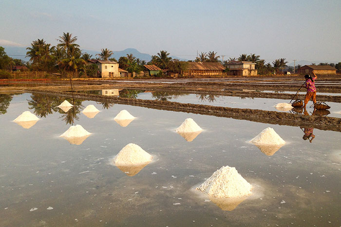 what to do in Kampot, Kampot stay, Phnom Chhnork temple, Bokor national park, Trey Koh island, Teuk Chhou rapids, Kampot pepper, salt marshes